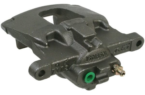 Jarrusatula taka CDO185047 oik