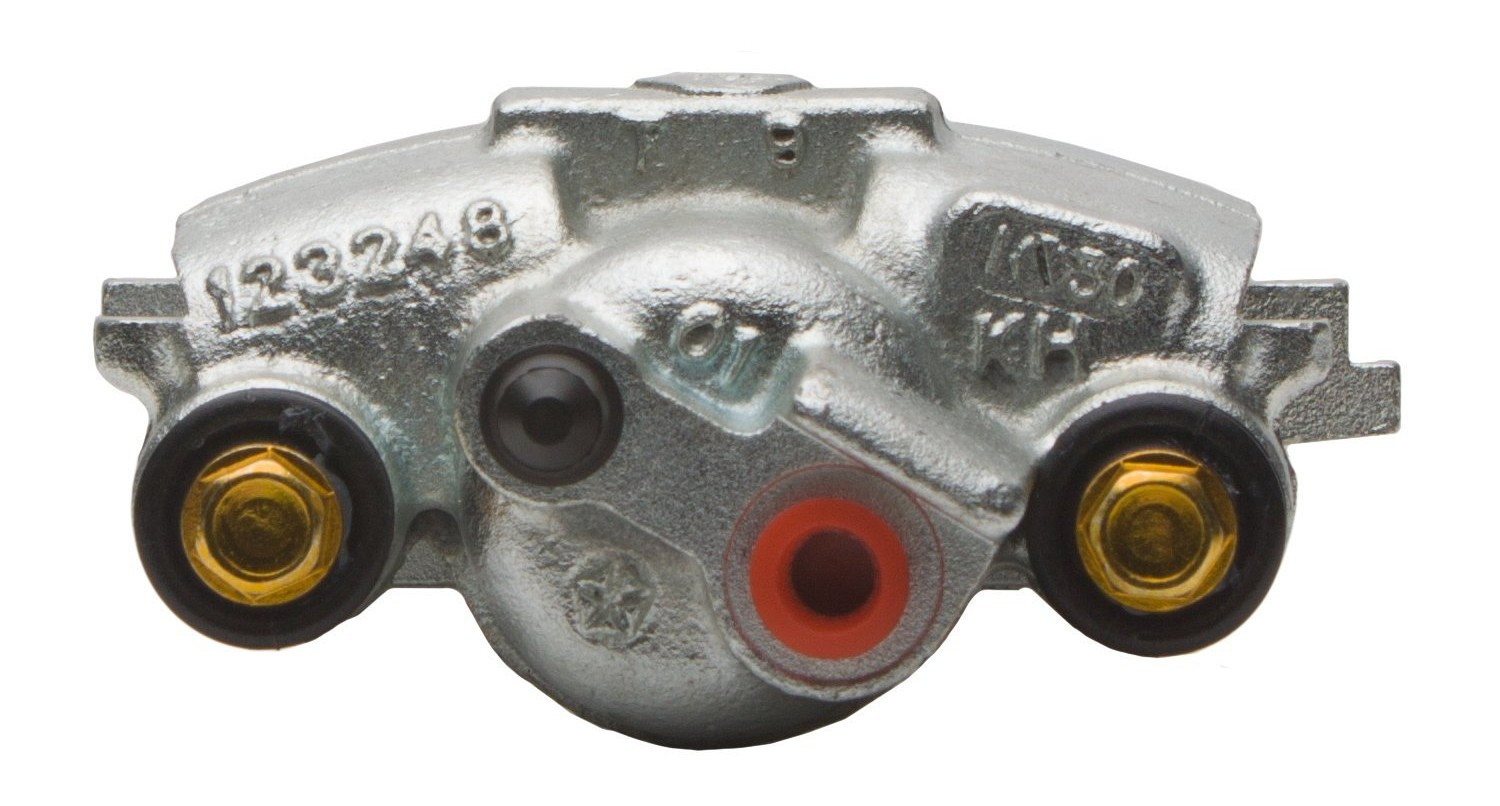 Jarrusatula taka DFC331-39608 (CDO184372 SAJ184372) oik